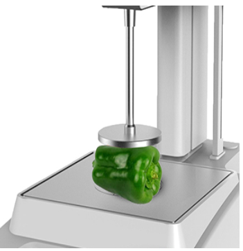 Texture Analyzer 果蔬新鮮度（成熟度）測定儀 物性測試儀